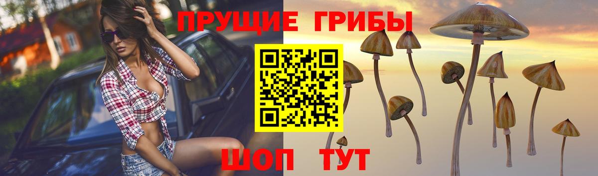 Минусинск  Галлюциногенные грибы мицелий  наркота  Вход с VPN 